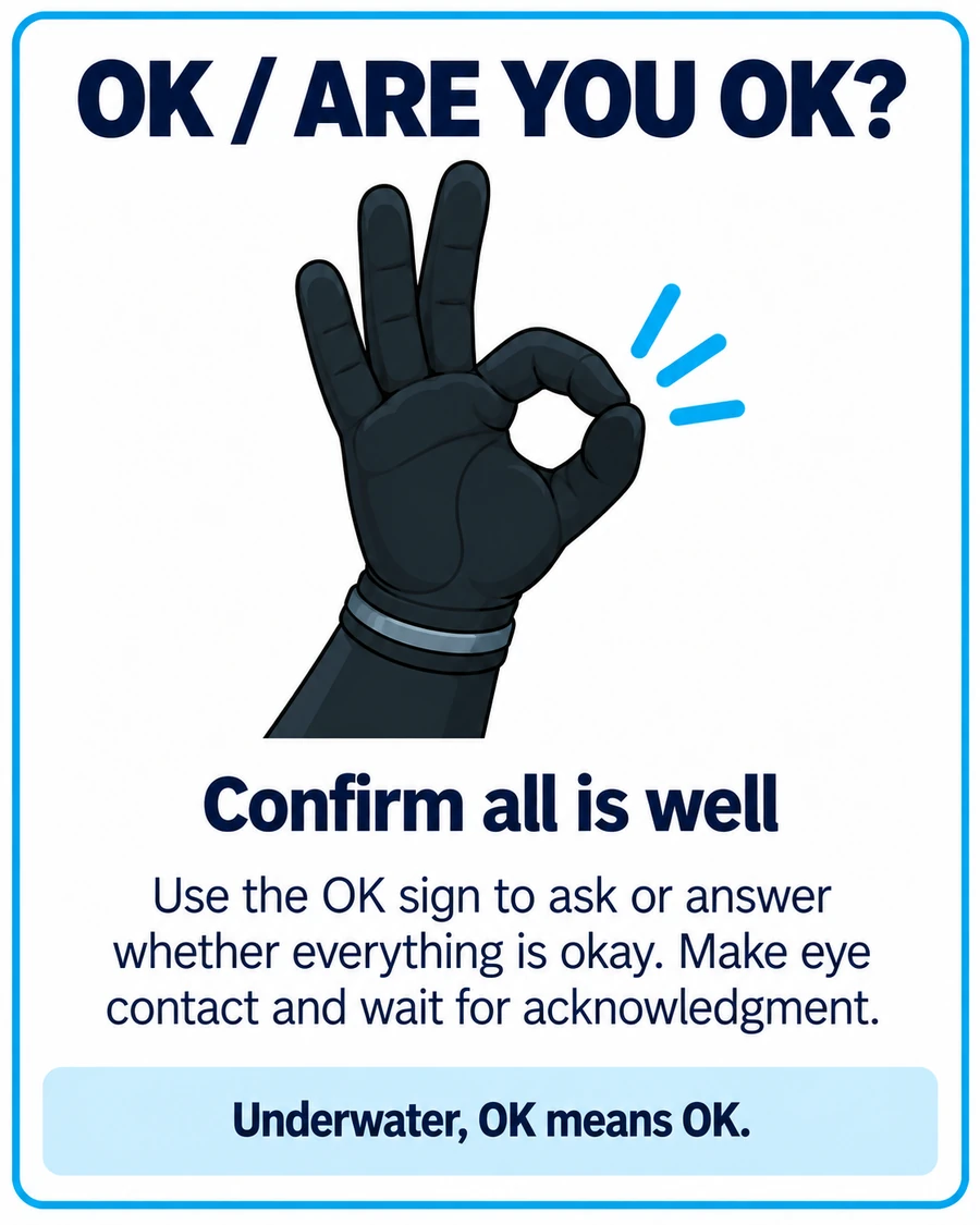 OK / are you OK?