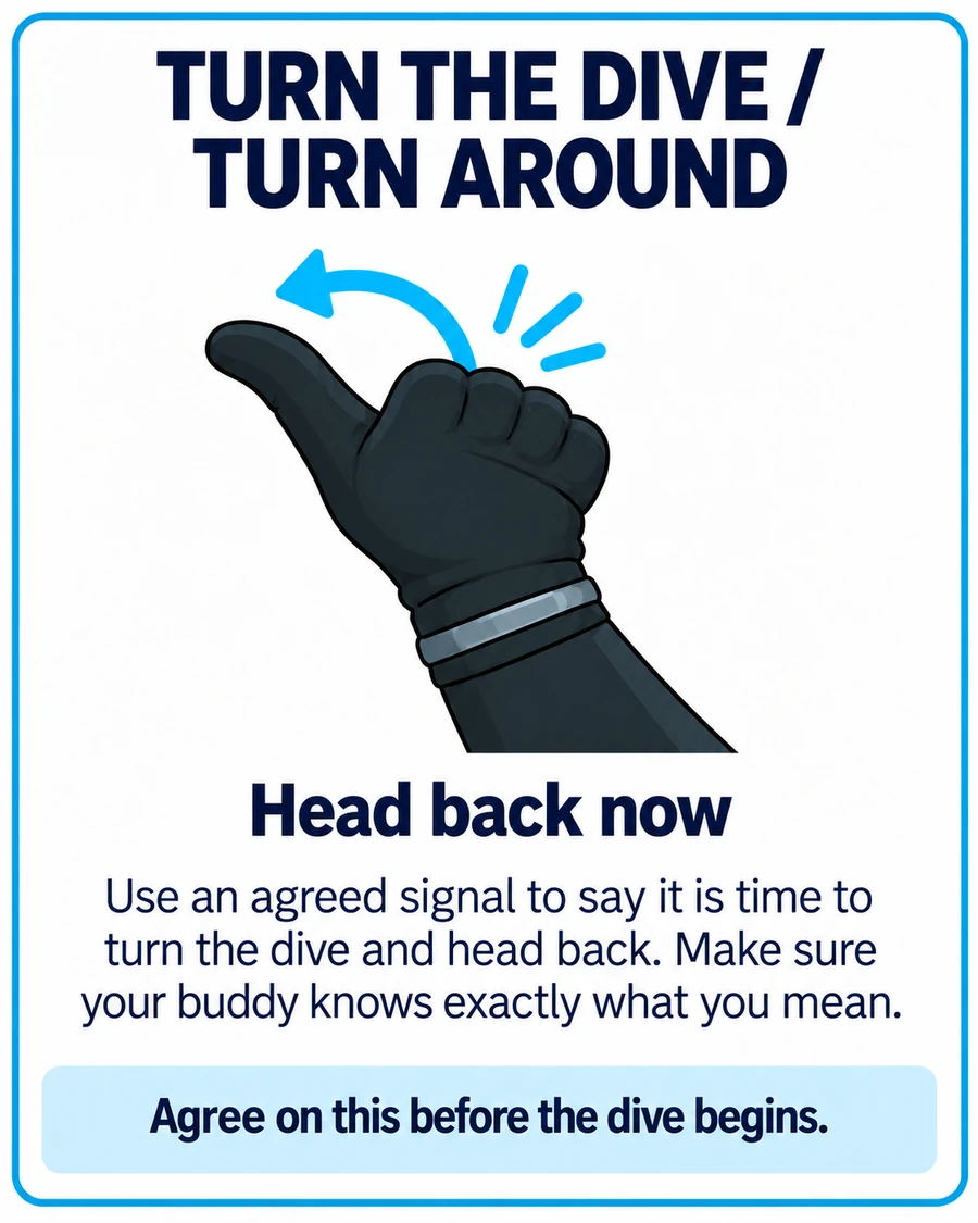 Turn the dive / turn around