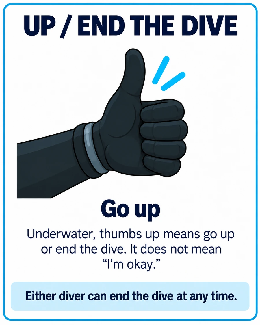 Up / end the dive