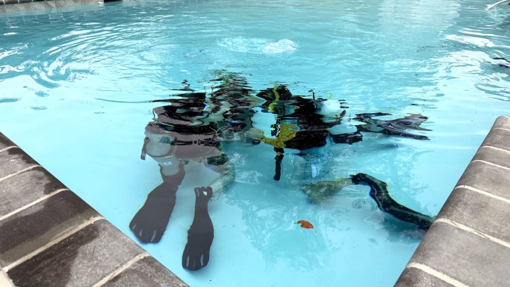 Students practicing buoyancy control underwater during confined water scuba training.