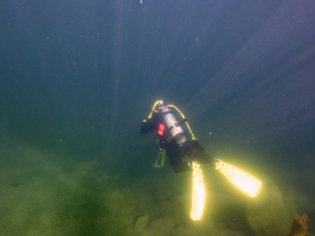 Diver swimming away into the green haze of Lake Phoenix, fins glowing in filtered light.