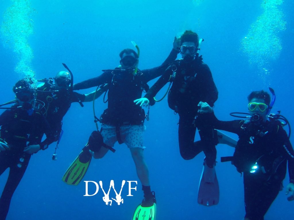 Five scuba divers hovering together underwater