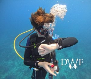 Student diver checking wrist computer underwater