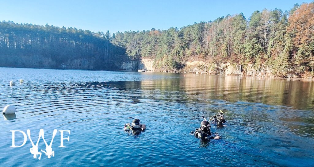 Three divers swimming calmly across the surface of Lake Phoenix