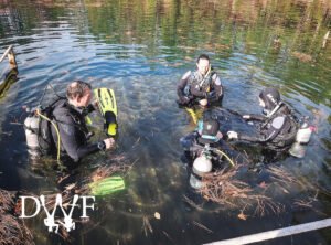 Instructor and three divers in shallow water practicing skills