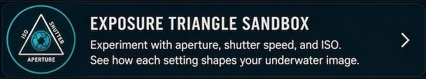 Underwater exposure triangle graphic for practicing ISO, aperture, and shutter speed.